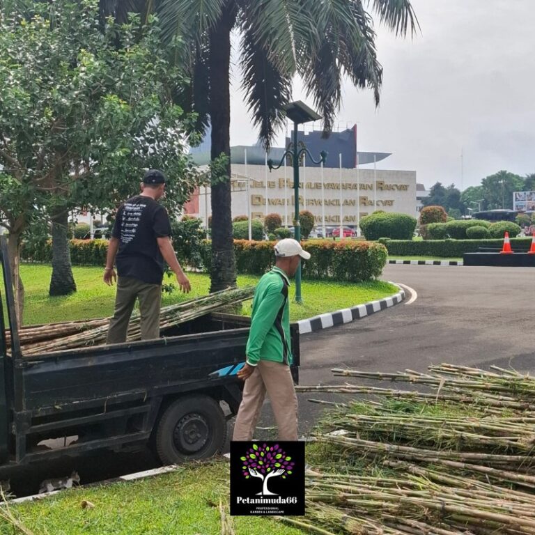 Tukang Taman Jakarta