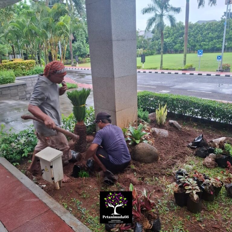 Tukang Taman Cibubur