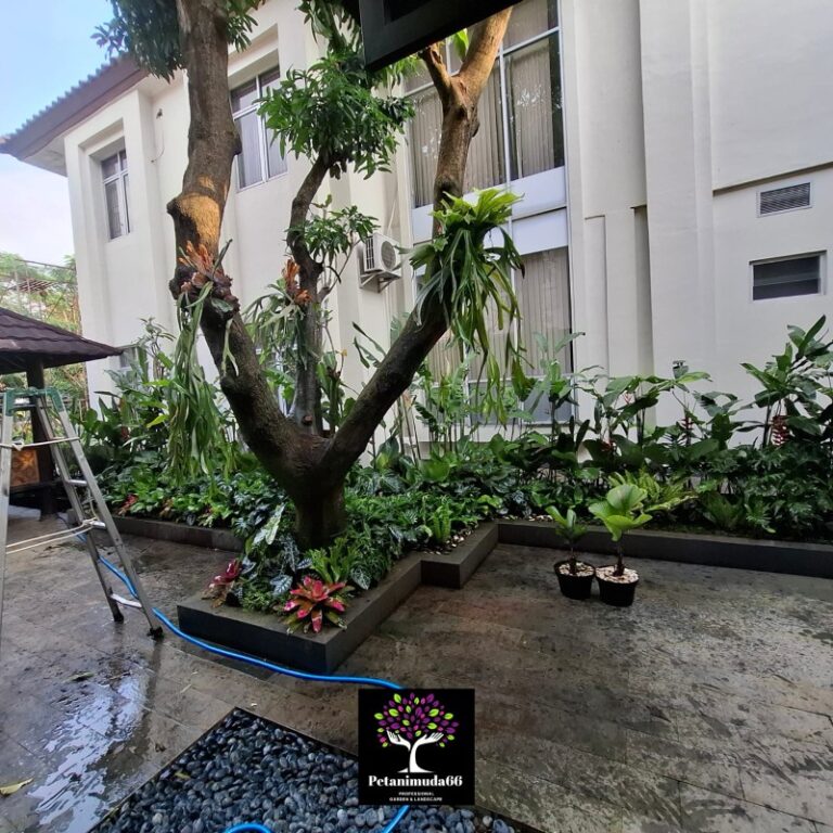 tukang taman BSD
