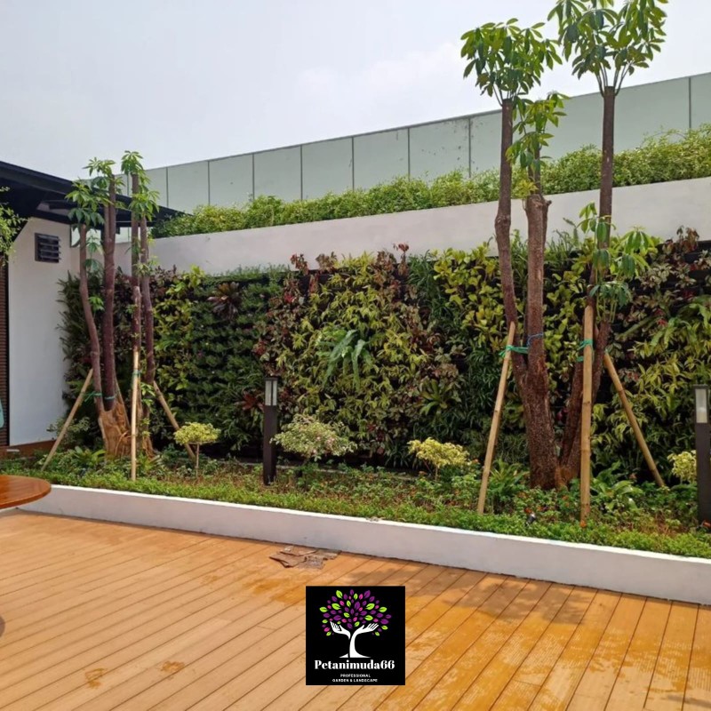jasa vertical garden jabodetabek